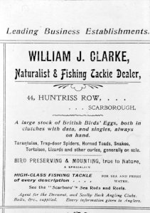Advert: William J Clarke, Naturalist & Fishing Tackle Dealer